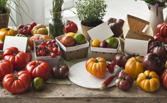 6 Tasty Tomato Recipes