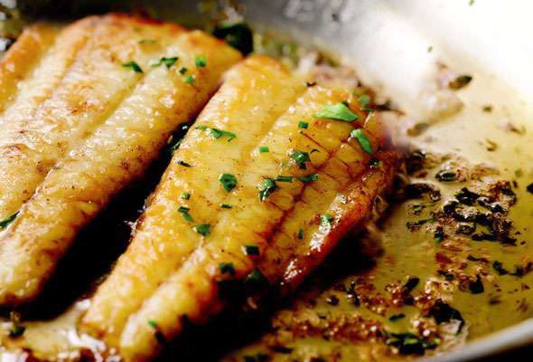 Grey mullet in farmed fish