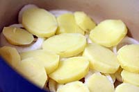 Then a layer of sliced, parboiled potatoes bacalhoada-4.jpg