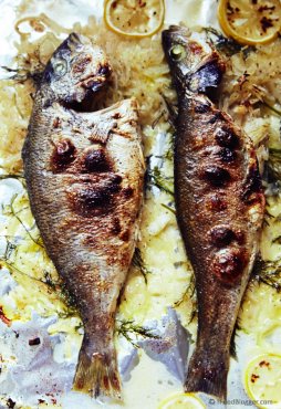 Killer Oven Baked Whitefish Recipe. A must try!