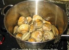 Steam clams in large pot / New England Clam Chowder Recipe - www.boston-discovery-guide.com