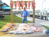 Best Tasting saltwater fish