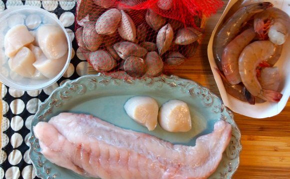 Italian fish Stew Recipes